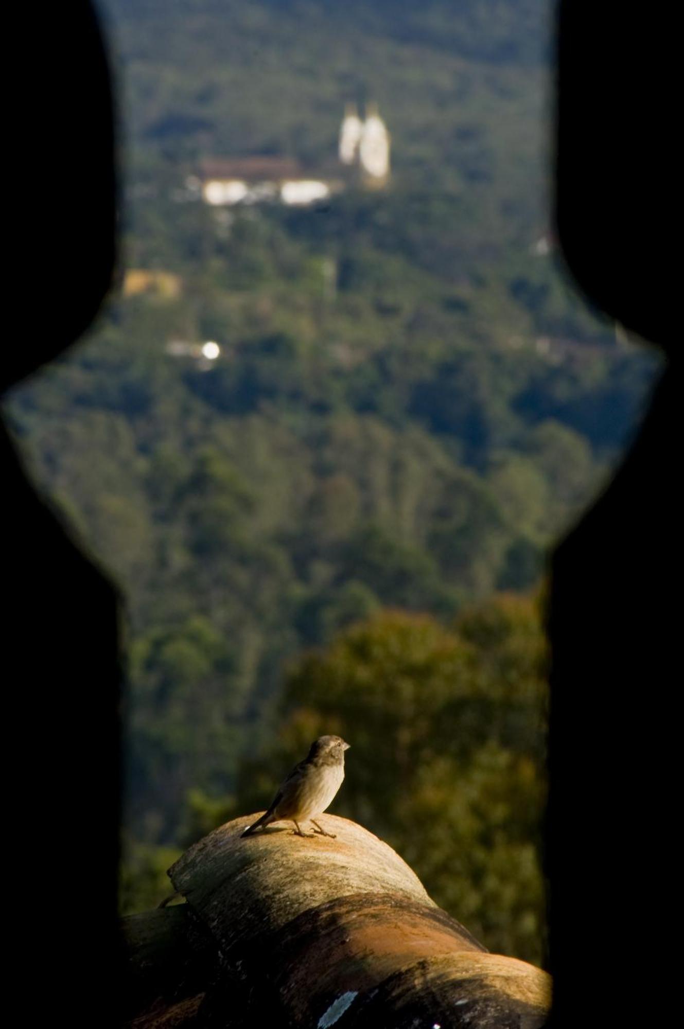 Hotel Pouso Da Torre Tiradentes Esterno foto